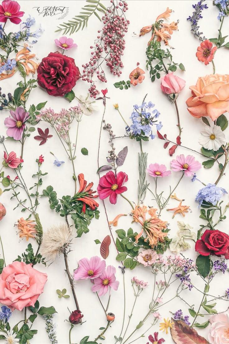 Serenity in Bloom Hand-Tied Posy